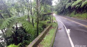 Putumayo carretera