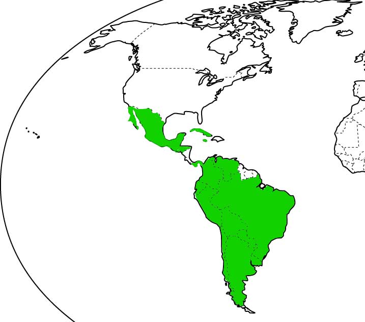 Países en los que no necesitamos visa los colombianos