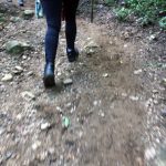 Caminar en la selva de Colombia