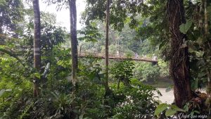 Otro puente en Putumayo