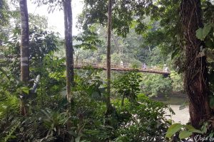 Otro puente en Putumayo