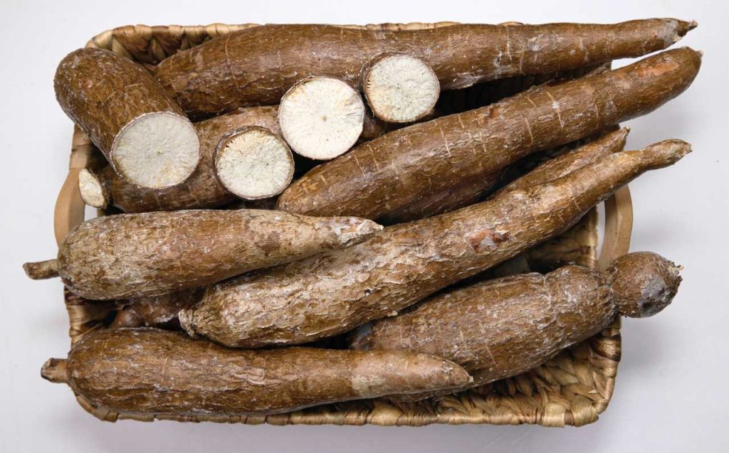 la yuca es uno de los ingredientes de la comida costeña