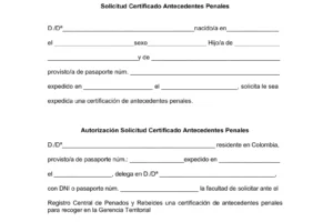 autorización antecedentes penales de españa desde el extranjero